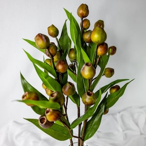 Grünes Gum Nuss Spray, künstliches Grün