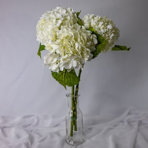Hortensia blanc moyen Real Touch - Fleurs artificielles réalistes