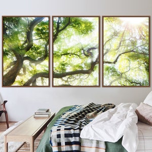 May include: A three-piece set of framed prints featuring a close-up view of a large tree canopy with sunlight shining through the leaves. The tree branches are thick and gnarled, and the leaves are a vibrant green.