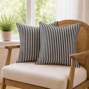 May include: Two square cushions with black and white vertical stripes. They are placed on a beige chair. The chair has a wooden frame and a woven back. A small potted plant is visible in the background.