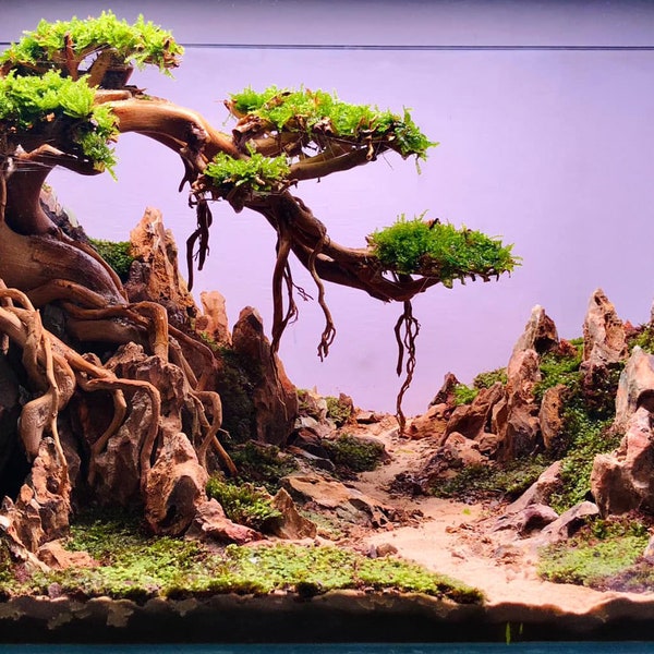 Aquarium Treibholz Dekor, Aquarium Treibholz Bonsai Baum zur Dekoration, Aquatic Bonsai Dekor, Tank Bonsai Dekor