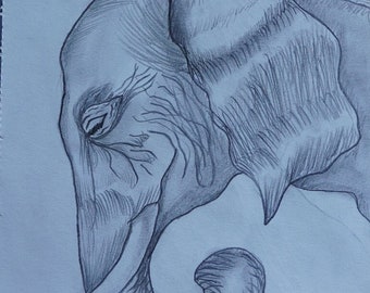 A pencil sketch of a beautiful Elephant head.