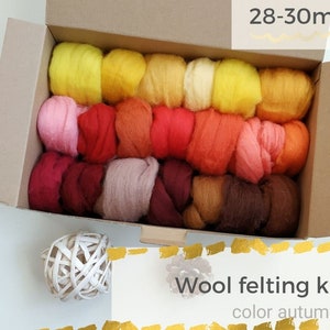 Diy kits for adults, needle felting kit, needle felting wool, craft kit, wet felting, felting set 28-30 mic - 10,5 oz. = 300 gr