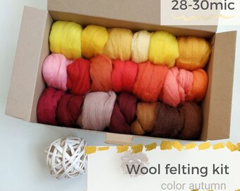 Laine à Feutrer Aiguilletée - Lot De 8 Couleurs (80g Total) - Pour Feutrage Humide Ou à L'aiguille, Projets Créatifs, DIY, Débutants - 11