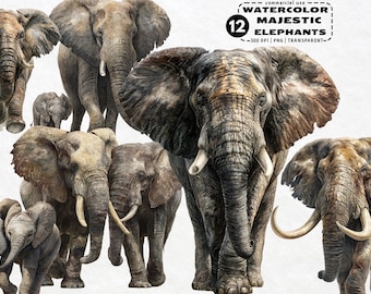 Watercolor Elephant Clipart Bundle | Safari Animal PNG Illustrations | Digital Download