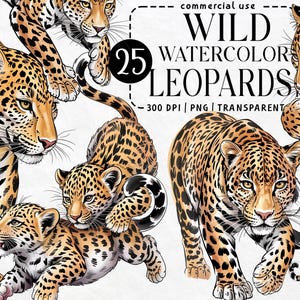 Könnte beinhalten: Aquarell-Illustration mit mehreren Leoparden in verschiedenen Posen. Die Leoparden haben hellbraunes Fell mit schwarzen Flecken. Der Text "Wild Watercolor Leopards" ist ebenfalls enthalten.