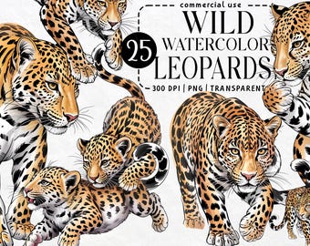 Aquarell Leopard Clipart Bundle: 25 hochauflösende PNGs für Sublimation