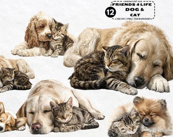 Friends for Life – Dog and Cat Clipart Bundle PNG Sleeping Puppy Kitten Watercolor Pet Illustrations