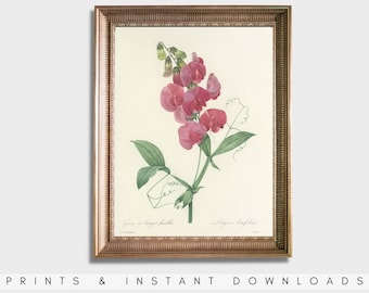 Flower Painting (ca. 1827) Classic Art Print | Art Print #161