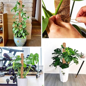 2 Pack Coco Coir Moss Pole Set for Indoor Plants - Stackable Plant Support - Includes Labels and Plant Ties