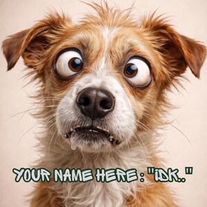 Può includere: Primo piano di un cane con occhi marroni spalancati e un'espressione sorpresa. Il cane ha pelo marrone e bianco, con il testo "YOUR NAME HERE: "IDK.."" in verde in basso.