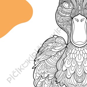 Duck Mandala Coloring Page · Meditation, Stress Relief, Relaxation, Anxiety Relief · Instant PNG & PDF Download