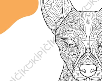 Xoloitzcuintli Mandala Coloring Page · Meditation, Stress Relief, Relaxation, Anxiety Relief · Instant PNG & PDF Download