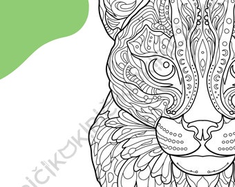Ocelot Mandala Coloring Page · Meditation, Stress Relief, Relaxation, Anxiety Relief · Instant PNG & PDF Download