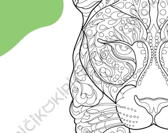 Leopard Mandala Coloring Page · Meditation, Stress Relief, Relaxation, Anxiety Relief · Instant PNG & PDF Download