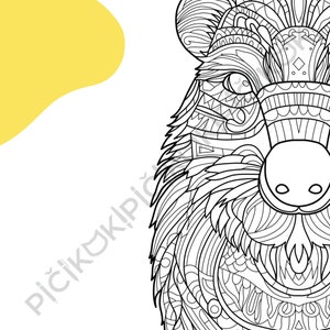 Capybara Mandala Coloring Page · Meditation, Stress Relief, Relaxation, Anxiety Relief · Instant PNG & PDF Download