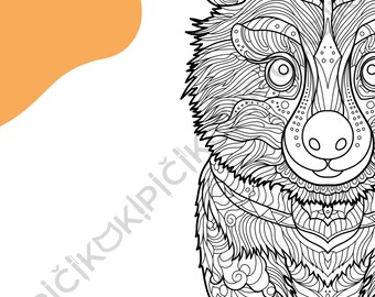 Quokka Mandala Coloring Page · Meditation, Stress Relief, Relaxation, Anxiety Relief · Instant PNG & PDF Download