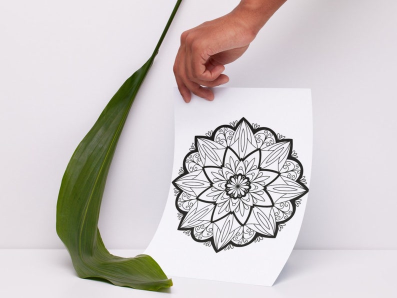 May include: A black and white mandala design printed on a white sheet of paper. The paper is being held by a hand.