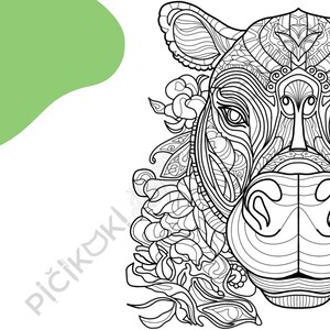 Hippo Mandala Coloring Page · Meditation, Stress Relief, Relaxation, Anxiety Relief · Instant PNG & PDF Download
