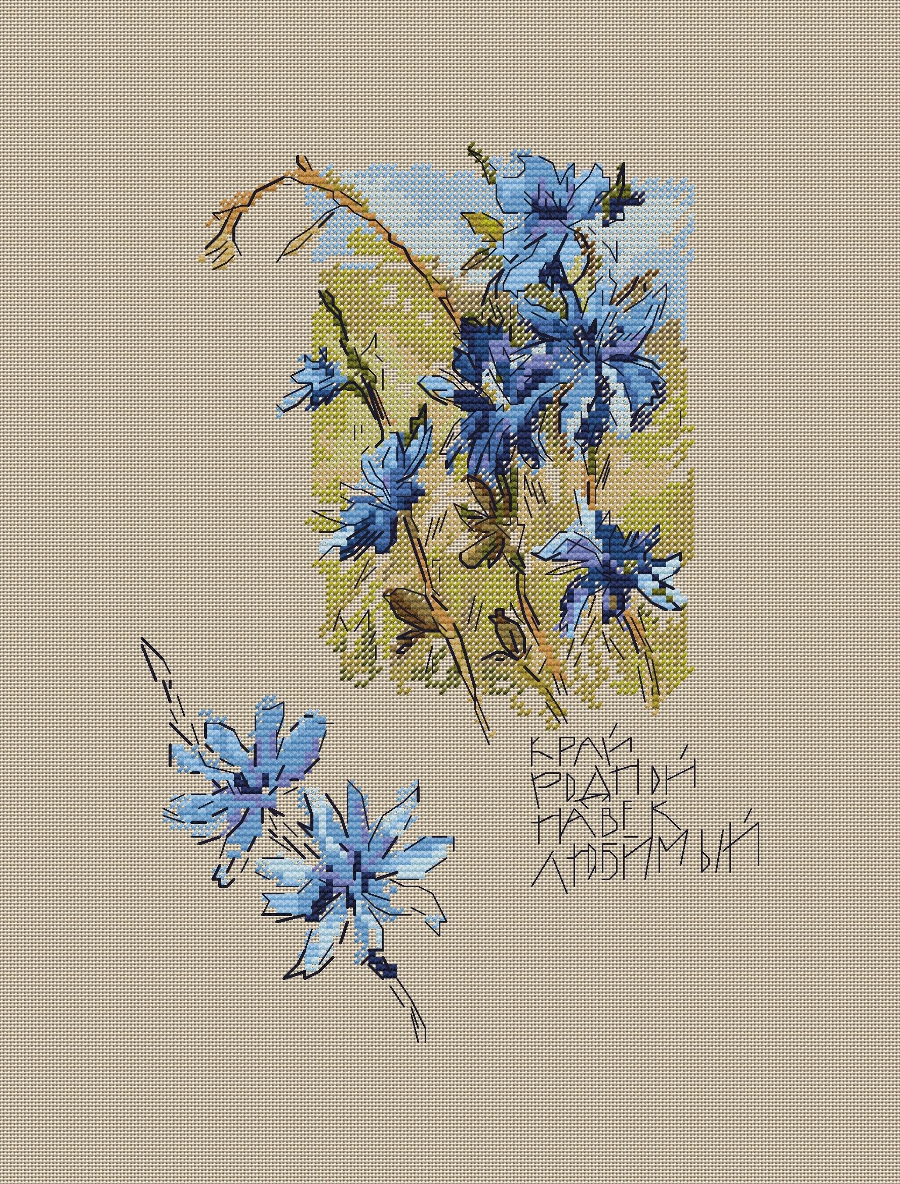 Chicory Cross Stitch Pattern: Blue Wildflower Embroidery (PDF) - Etsy