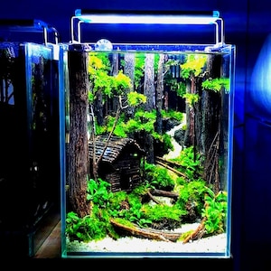Aquarium Hardscape with sand stream, Aquascaping Decor,Aquarium Decor,Home Decor,Office Decor Shrimp,Fish Tank decor, Shrimp Tank Decor.