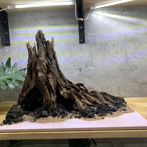 Fish tank Decor, Aquascaping Decor,Aquarium Decor,Home Decor,Office Decor Shrimp,Fish Tank decor, Shrimp Tank Decor.