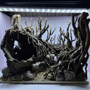 Aquascape Aquarium Hardscape, Aquascaping Dekor, Aquarium Dekor, Wohnkultur, Büro Dekor Garnelen, Aquarium Dekor