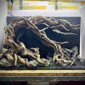 Aquarium Decoration, Vivarium decor, Aquascaping Decor,Aquarium Decor,Home Decor,Office Decor Shrimp,Fish Tank decor, Shrimp Tank Decor.