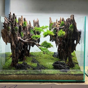 Natürlicher Aquascape mit künstlichen Pflanzen, Aquascaping Decor, Aquarium Decor, Home Decor, Office Decor Shrimps, Fish Tank decor