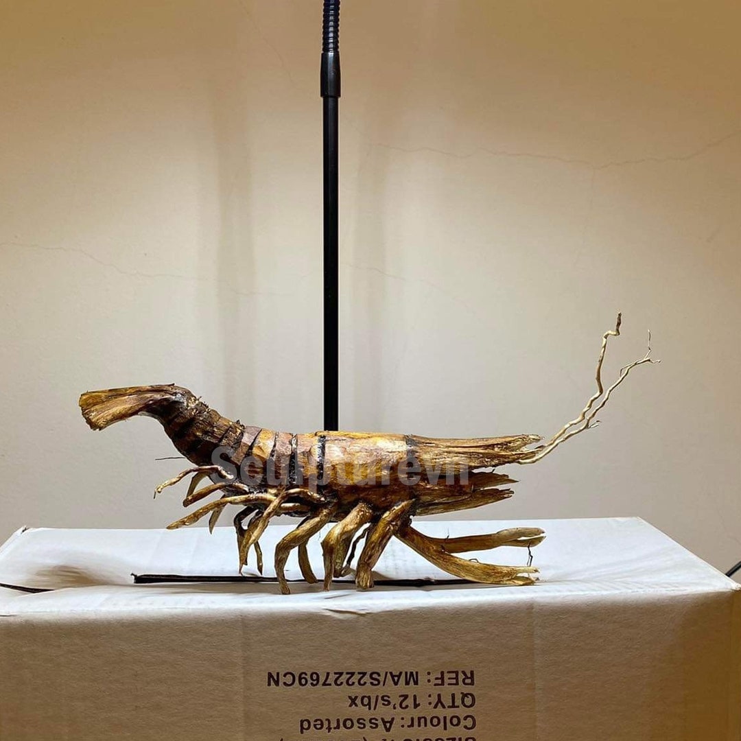 Shrimp Driftwood Aquarium Decor Aquascaping Decoraquarium Etsy