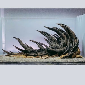 Natural Aquarium, Aquascaping Decor,Aquarium Decor,Home Decor,Office Decor Shrimp,Fish Tank decor, Shrimp Tank Decor.