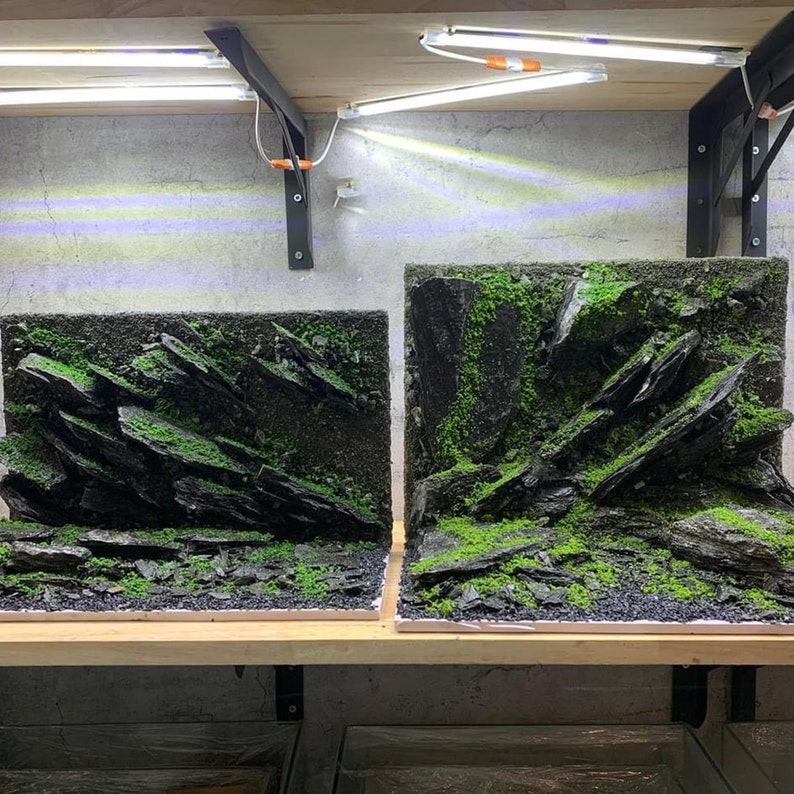 Aquarium Decor, Aquarium Background, Aquascaping Decor,aquarium Decor