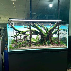 Aquascape Jungle thg mit künstlichen Pflanzen, Aquascaping Decor, Aquarium Decor, Home Decor, Office Decor Shrimps, Fish Tank decor