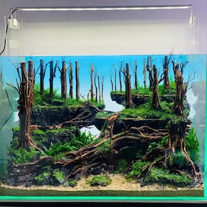 Aquascape Aquarium,Natural aquascape, Aquascaping Decor,Aquarium Decor,Home Decor,Office Decor Shrimp,Fish Tank decor, Shrimp Tank Decor.