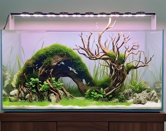 Legno Per Pesci Decorazione Legno Driftwood Per Acquario - 1 Pezzo - Foto 9