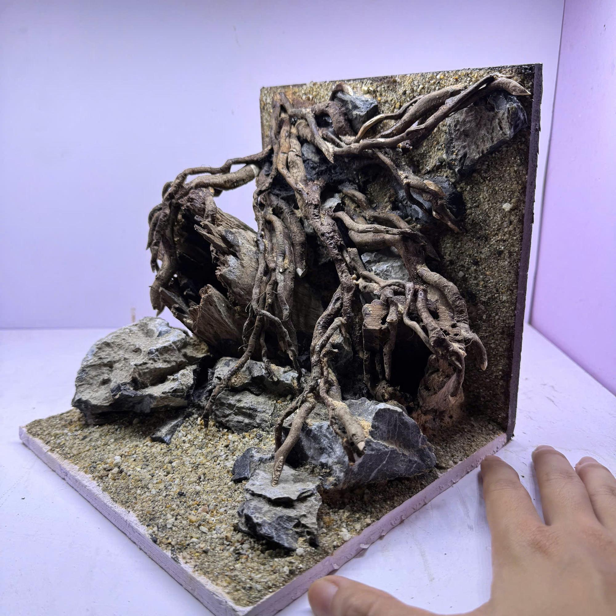 Image showcasing Aquarium Driftwood Decor: Natural Aquascaping for Fish & Shrimp - Etsy