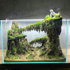Aquarium Unique Decor, Aquascaping Decor,Aquarium Decor,Home Decor,Office Decor Shrimp,Fish Tank decor, Shrimp Tank Decor.