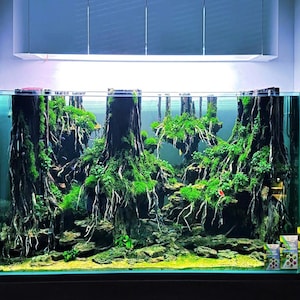 Jungle Aquascape, Aquascaping Decor,Aquarium Decor,Home Decor,Office Decor Shrimp,Fish Tank decor, Shrimp Tank Decor.