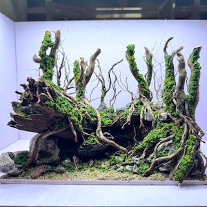 Aquascape Aquarium mit künstlichen Pflanzen, Aquascaping Decor, Aquarium Decor, Home Decor, Office Decor Shrimps, Fish Tank decor