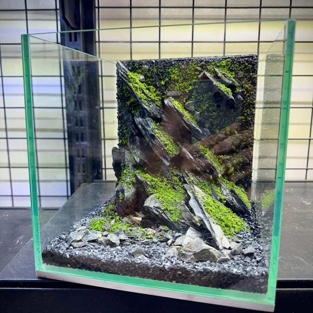 Handmade Aquarium Decorations for Freshwater and Saltwater Tanks