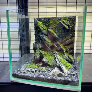 Handgefertigte Dekorationen für Süßwasser- & Salzwasseraquarien