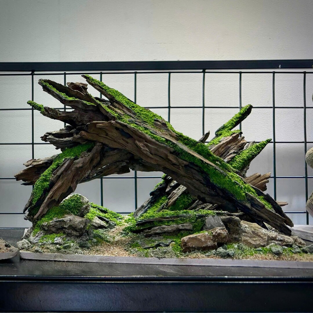 Image showcasing Handmade Driftwood Aquascape: Natural Aquarium Decor - Etsy