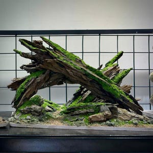 Aquascape aquarium, Aquascaping Decor,Aquarium Decor,Home Decor,Office Decor Shrimp,Fish Tank decor, Shrimp Tank Decor.