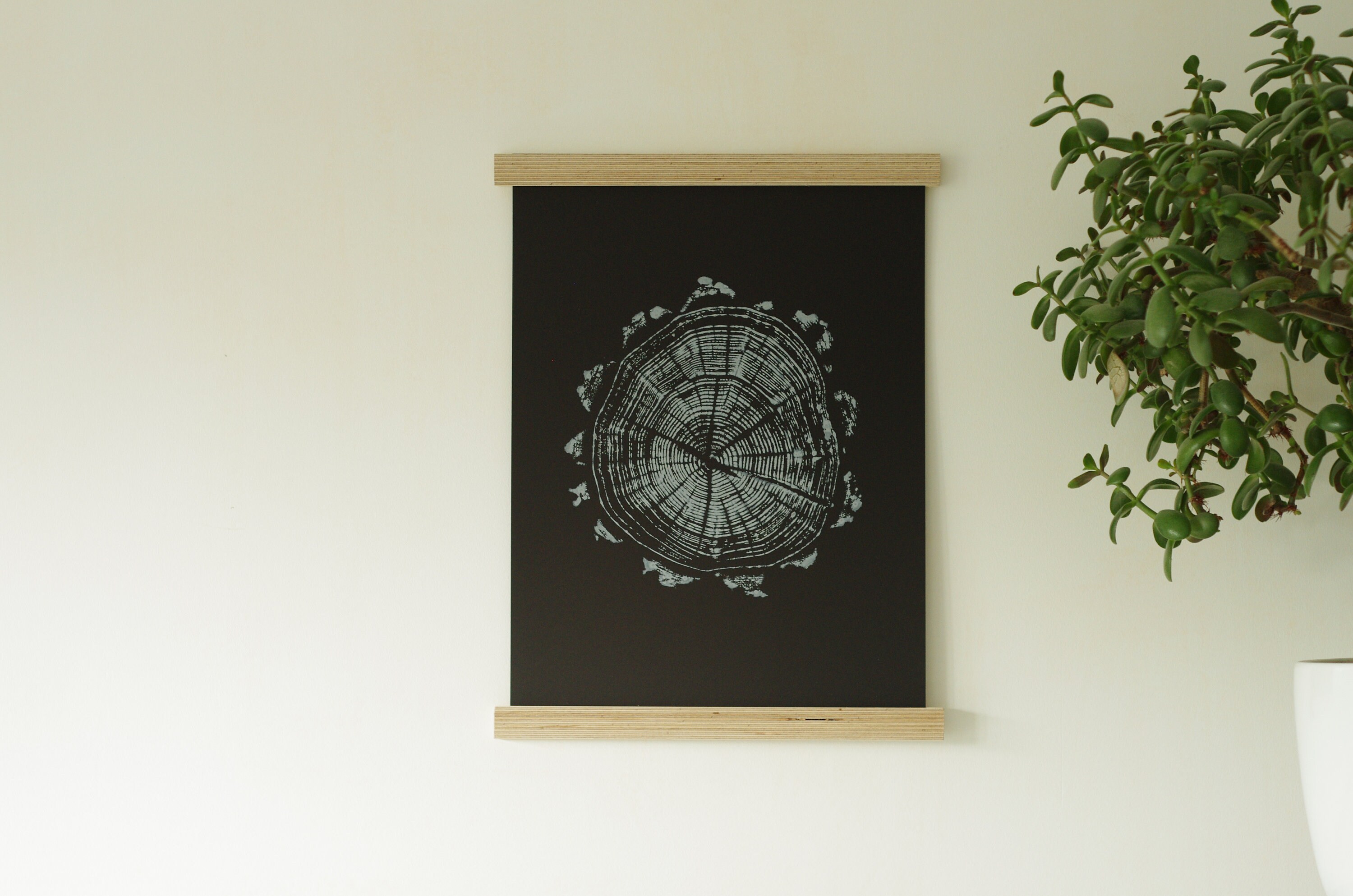 ニセアカシア年輪木版画：サイン入りオリジナルアート（12x16 A3