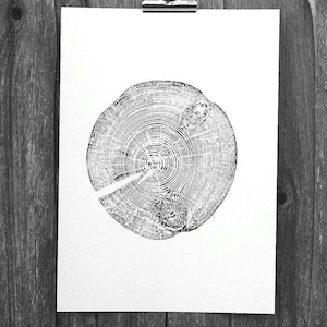 Könnte beinhalten: Schwarzweißdruck eines Baumstammquerschnitts, der die Jahresringe zeigt. Der Druck ist auf weißem Papier und hängt an einer Holzwand.