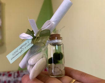 Marimo Aquatic moss ball brings good luck from the Japanese tradition, special wedding favor