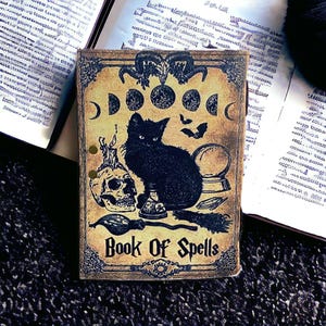 Puede incluir: Un libro de estilo vintage con un gato negro, una calavera y otras im&aacute;genes de brujer&iacute;a en la portada. El libro se titula "Book of Spells".