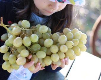 20 Douro muscat white grape seeds - Uvas moscatel branco - Oporto wine table grapes - great variety