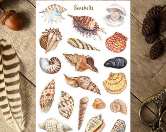 Seashells Sticker Sheet, Summer Stickers, Summer Beach Stickers, Summer Season Stickers, Travel Journal Stickers, Ocean Seaside Stickers