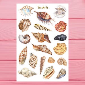 May include: A sheet of seashell stickers with a variety of shapes, sizes, and colors. The stickers are arranged in rows and columns on a white background. The text "Seashells" is printed in gold at the top of the sheet.